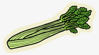 Vector Illustration Of Edible Vegetable Celery Stalk - Celery Clipart Png