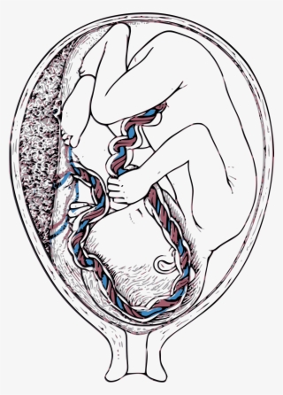 This Free Icons Png Design Of Inside Mother