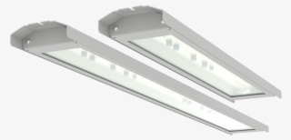 Light