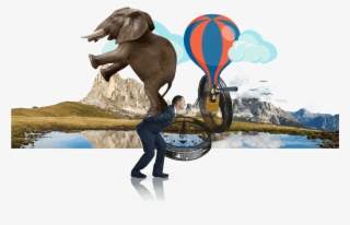 Regulatory Reviews For Wealth - Resiliência Profissional