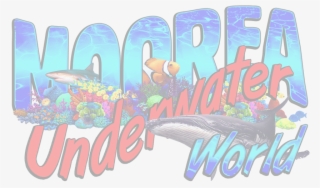 Moorea Semi-submersible, Day Tour, Moorea Submarines, - Clown Fish