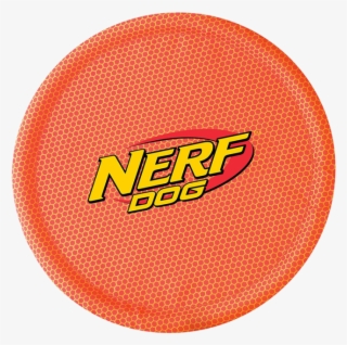 21710036 - Nerf