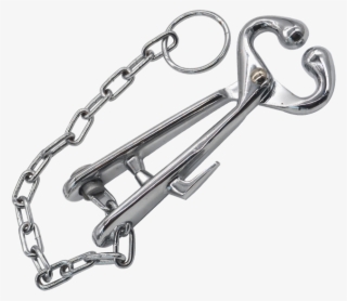 2452354883 - Chain