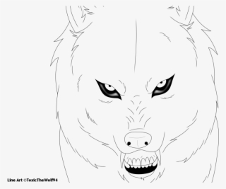 Wolf Face Drawing - Line Art