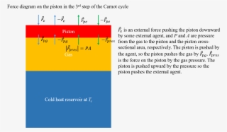 Confusion About Forces In The Work Done On The Piston - Diagram