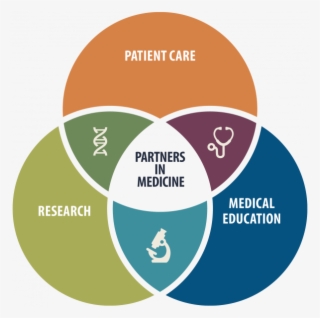 Uf Health Partners In Medicine Venn Diagram Overlapping - Education Is The Enemy
