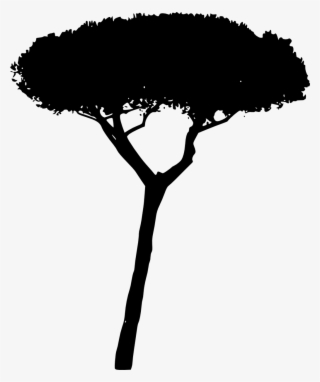 Tree Trees Silhouette 4trueartists Hd Contour Backlit - Silhouette