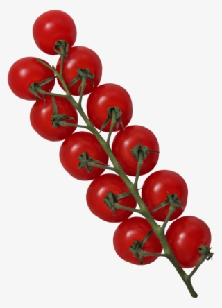Tomato - Cherry Tomatoes