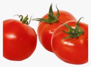 Tomato Png Image - Tomatoes Png