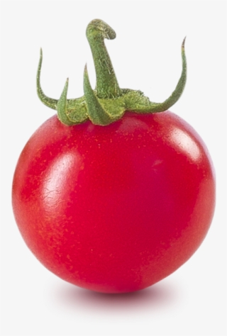 Piccolo - Plum Tomato
