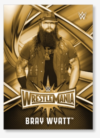 Bray Wyatt - Sasha Banks Wwe Wrestlemania 33