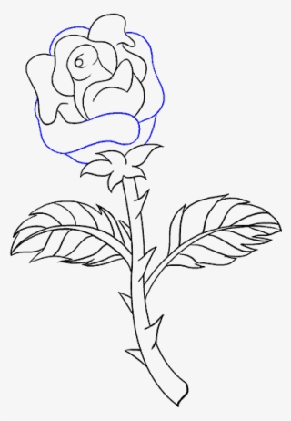 How To Draw Rose With A Stem - Roses With Thorns Drawings Easy