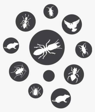 Pest Circle Icons - Pest Control Icon Png