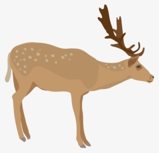 Download Elk Png Images Background - Elk