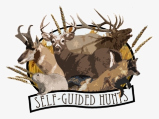 Deer And Hunting Logo Png