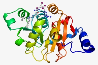Eckari P-domain Nadph - Экспрессия Генов