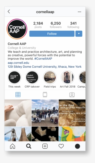 Brand Guidelines Cornell Aap