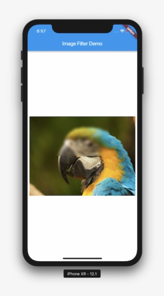 Flutter Image Filter - Flutter Facebook Login