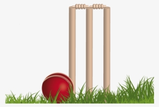 Cricket Png Background Image - Cricket Png