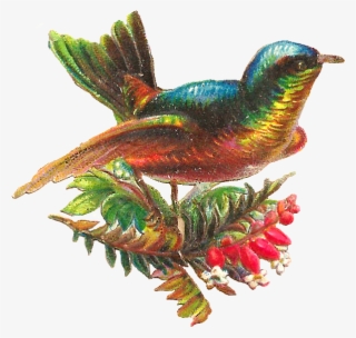 Free Digital Bird Clip Art - Digital Bird Png