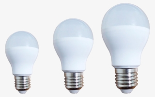 Glowing Bulb Png - Fluorescent Lamp