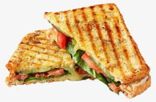 veg delight sandwich - burger and sandwich png