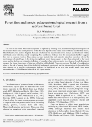 Pdf - Document