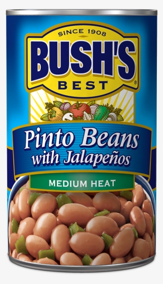 Can Of Pinto Beans