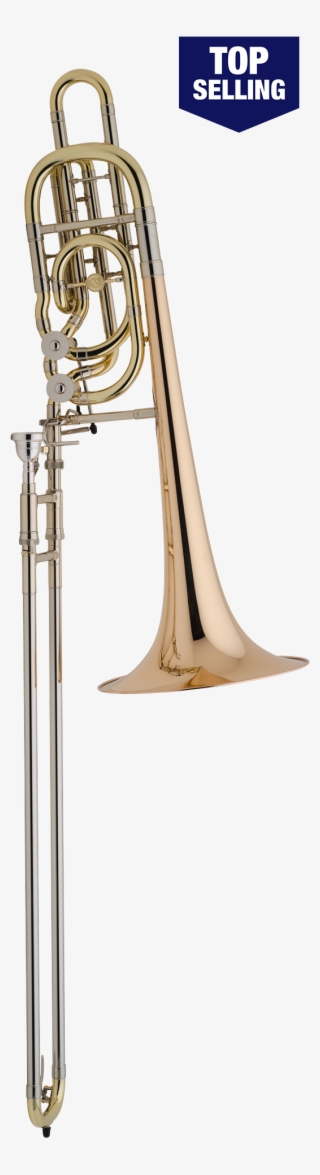 600 X 2000 1 - Types Of Trombone