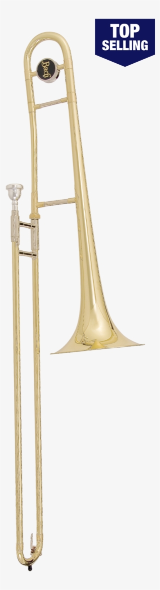 Types Of Trombone
