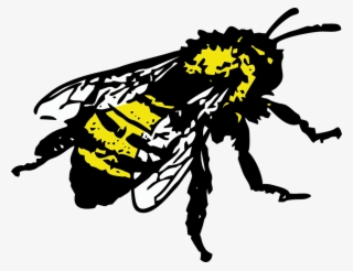 Honey Bee Graphic - Bee Graphic