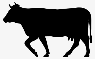 Download Amazing High-quality Latest Png Images Transparent - Cow Silhouette