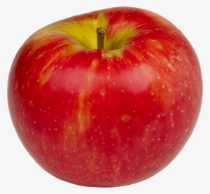 Apple Png - Apple Png No Background