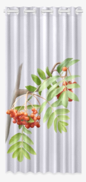 rowan tree watercolor new window curtain 50" x - watercolor painting