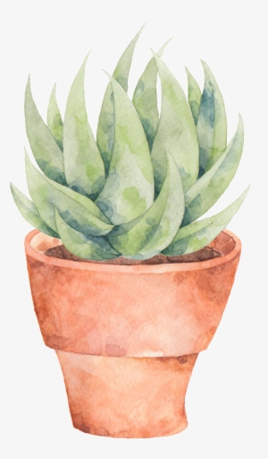 This Graphics Is A Plate Of Aloe Png Transparent About - Flowerpot