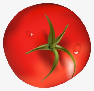 Png Best Web - Tomato Png