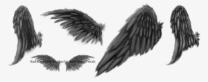 Dark Angel Wings, Angel Wings Drawing, Dark Angels,