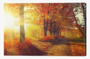Autumnal Trees And Leaves In Sun Rays Canvas Print