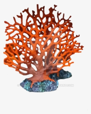 Coral Transparent Background Png - Coral Png