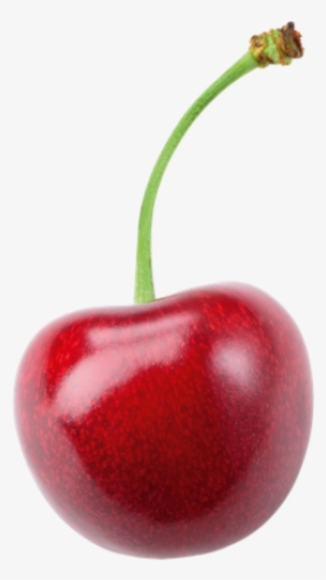 Tart Cherries - Black Cherry