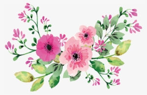 Romantic Transprent Download Pink - Water Color Flower Vector