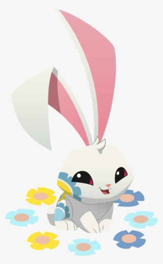 Bunny1
