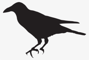 Crow Clip Art