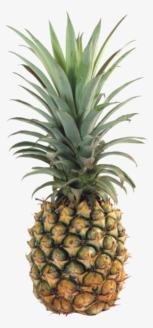 Pineapple Png Images Free Pictures Download Svg Free - Pineapple