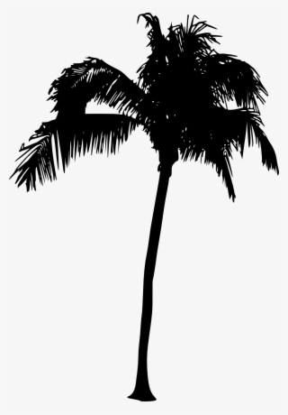 Png File Size - Palm Tree Silhouette Png