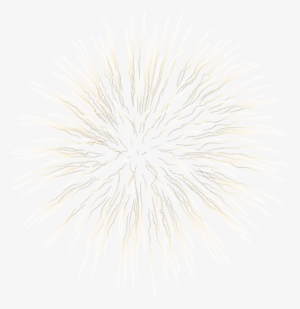 White Firework Png Vector Download - High Quality Firework