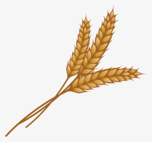 Bing Images - Wheat Clipart