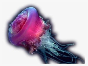 Jellyfish Pendant, Jellyfish Art Necklace, Jellyfish