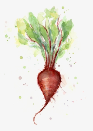 Bleed Area May Not Be Visible - Beet Watercolor