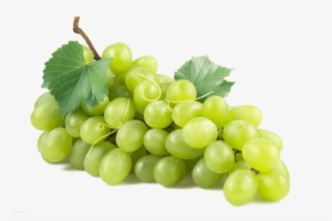 Free Png Green Grapes Png Png Images Transparent - Cathys Concepts Personalized 21 Oz. Stemless Wine Glass